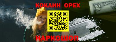 гидра Будённовск