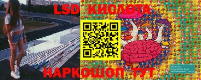 гидра Будённовск