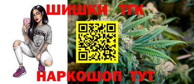 гидра Будённовск