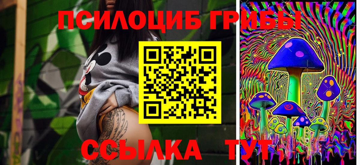 Карабулак  Галлюциногенные грибы Magic Shrooms  Вход с VPN 