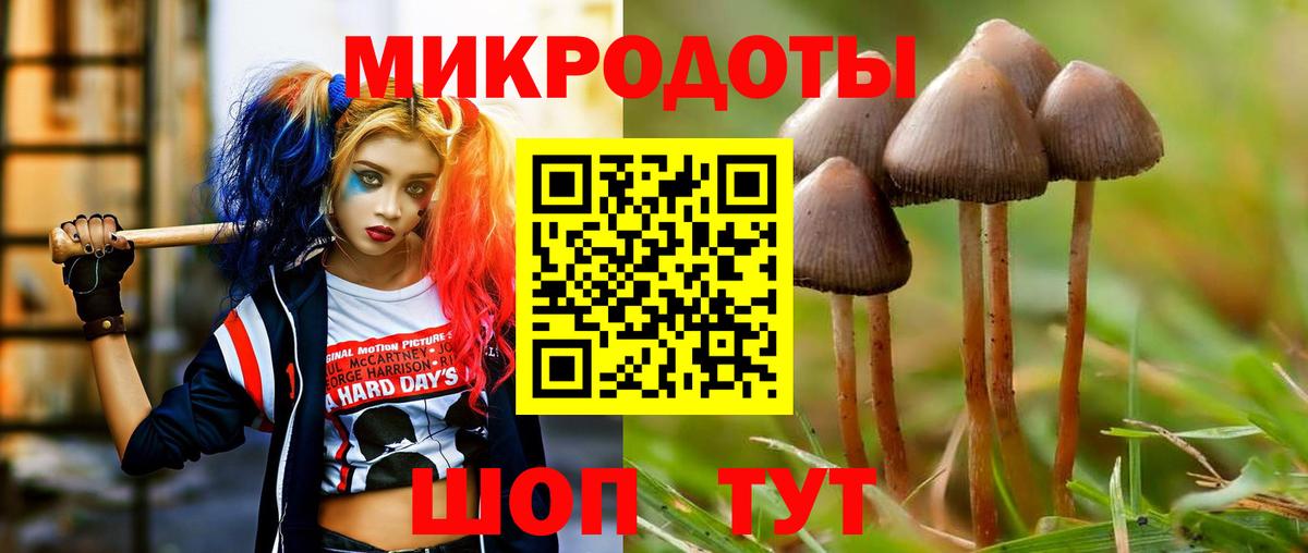 Галлюциногенные грибы Magic Shrooms Карабулак